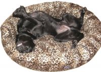 Cambells in doggy heaven on an Urban Animal Club Lounge
